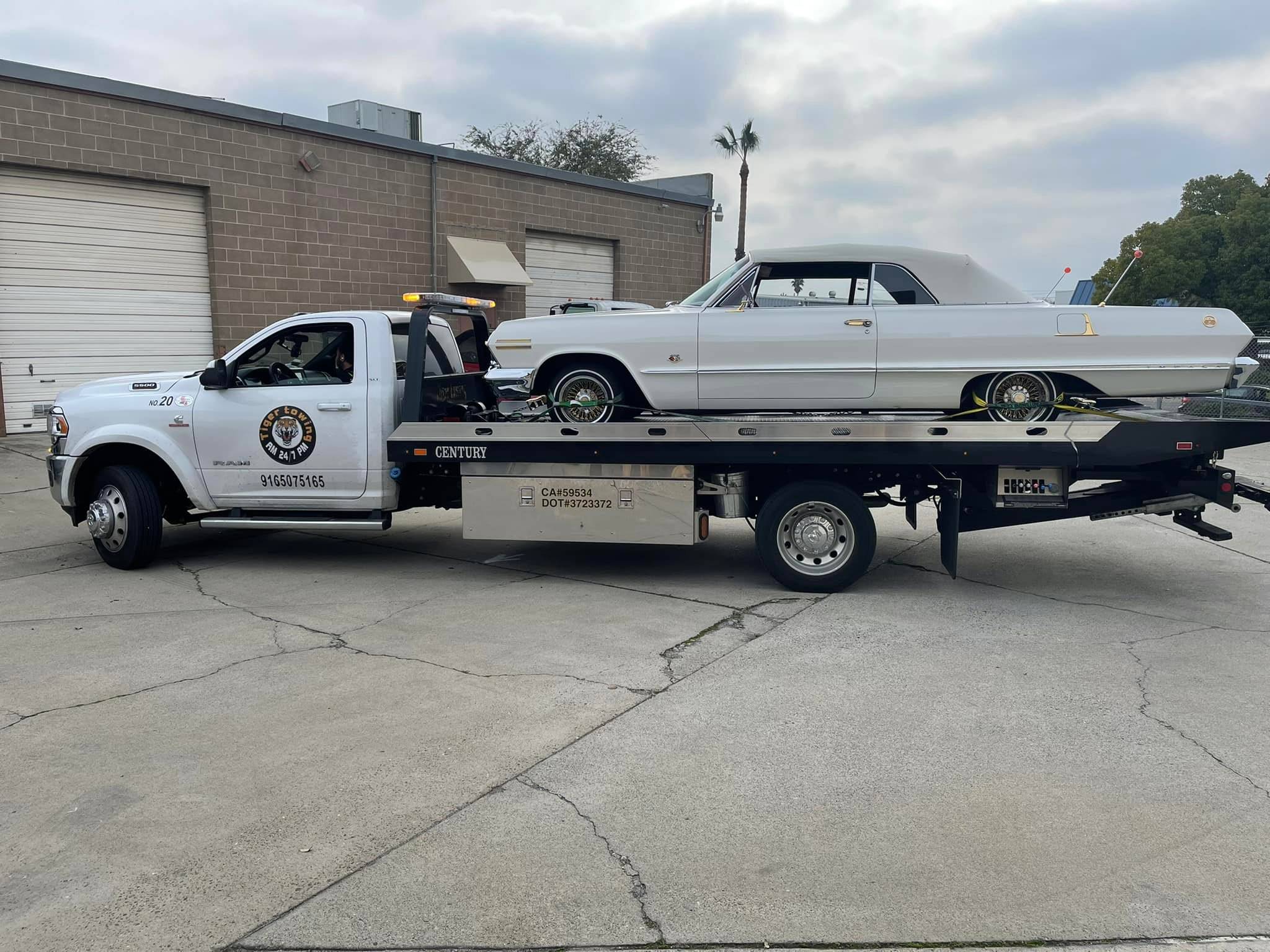 472528414 632261662565657 2932545544384116836 N